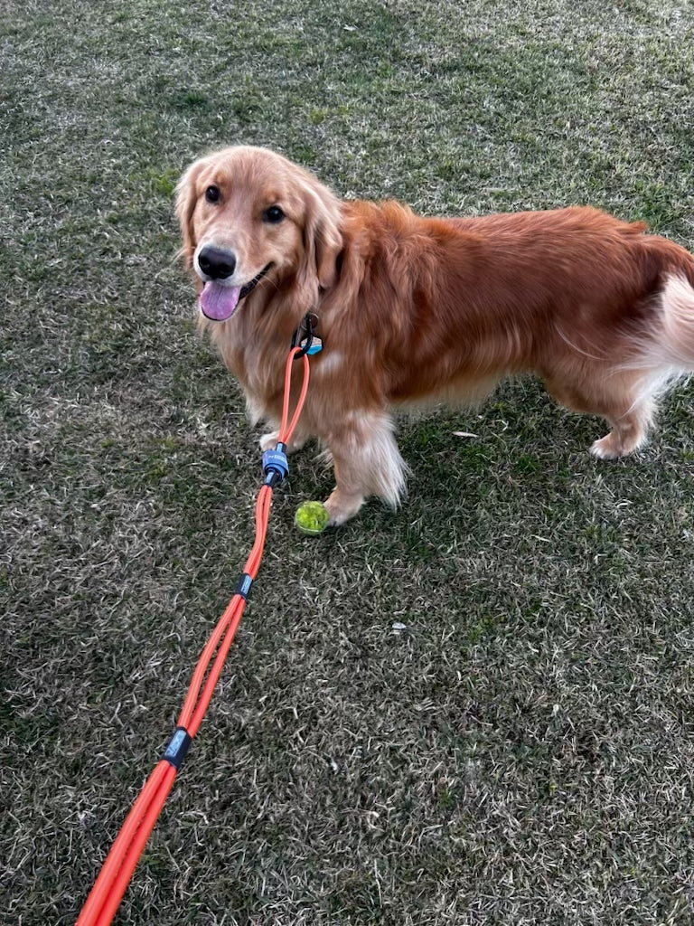 (Camouflage) Everything Rope Multi Use Bungee Cord, These 5' Adjustable Bungee Cords are the last tie down you will ever need. Always the perfect length.